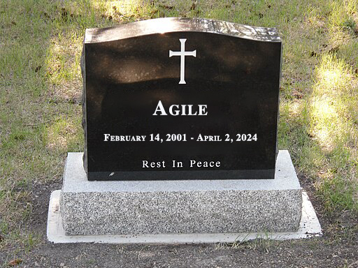 Is Agile Dead